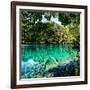 China 10MKm2 Collection - Beautiful Lake in the Jiuzhaigou National Park-Philippe Hugonnard-Framed Photographic Print