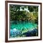 China 10MKm2 Collection - Beautiful Lake in the Jiuzhaigou National Park-Philippe Hugonnard-Framed Photographic Print