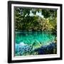 China 10MKm2 Collection - Beautiful Lake in the Jiuzhaigou National Park-Philippe Hugonnard-Framed Photographic Print