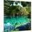 China 10MKm2 Collection - Beautiful Lake in the Jiuzhaigou National Park-Philippe Hugonnard-Mounted Photographic Print