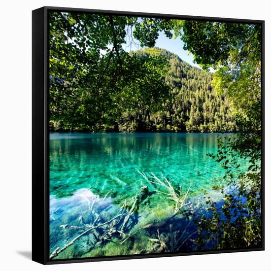 China 10MKm2 Collection - Beautiful Lake in the Jiuzhaigou National Park-Philippe Hugonnard-Framed Stretched Canvas