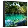 China 10MKm2 Collection - Beautiful Lake in the Jiuzhaigou National Park-Philippe Hugonnard-Framed Stretched Canvas