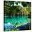 China 10MKm2 Collection - Beautiful Lake in the Jiuzhaigou National Park-Philippe Hugonnard-Stretched Canvas