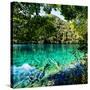 China 10MKm2 Collection - Beautiful Lake in the Jiuzhaigou National Park-Philippe Hugonnard-Stretched Canvas