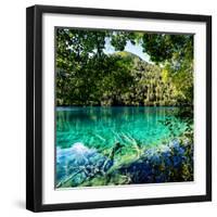 China 10MKm2 Collection - Beautiful Lake in the Jiuzhaigou National Park-Philippe Hugonnard-Framed Premium Photographic Print