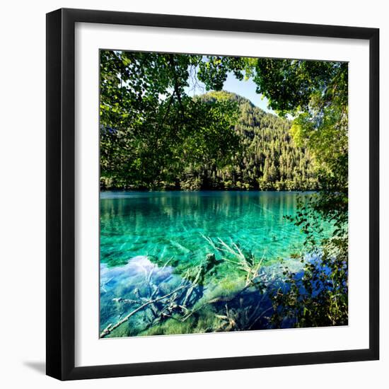 China 10MKm2 Collection - Beautiful Lake in the Jiuzhaigou National Park-Philippe Hugonnard-Framed Premium Photographic Print