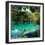 China 10MKm2 Collection - Beautiful Lake in the Jiuzhaigou National Park-Philippe Hugonnard-Framed Premium Photographic Print