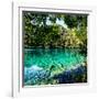 China 10MKm2 Collection - Beautiful Lake in the Jiuzhaigou National Park-Philippe Hugonnard-Framed Photographic Print