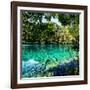 China 10MKm2 Collection - Beautiful Lake in the Jiuzhaigou National Park-Philippe Hugonnard-Framed Photographic Print