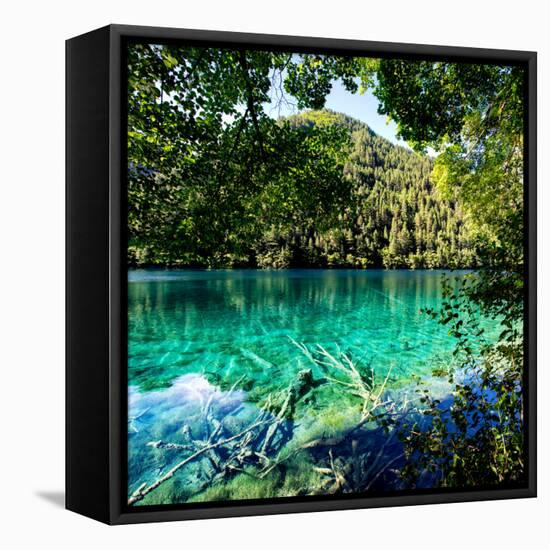 China 10MKm2 Collection - Beautiful Lake in the Jiuzhaigou National Park-Philippe Hugonnard-Framed Stretched Canvas