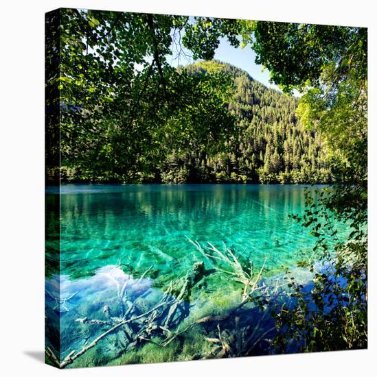 China 10MKm2 Collection - Beautiful Lake in the Jiuzhaigou National Park-Philippe Hugonnard-Stretched Canvas