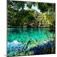 China 10MKm2 Collection - Beautiful Lake in the Jiuzhaigou National Park-Philippe Hugonnard-Mounted Photographic Print