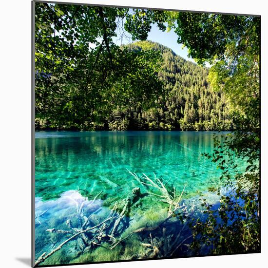 China 10MKm2 Collection - Beautiful Lake in the Jiuzhaigou National Park-Philippe Hugonnard-Mounted Photographic Print