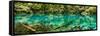 China 10MKm2 Collection - Beautiful Lake in the Jiuzhaigou National Park-Philippe Hugonnard-Framed Stretched Canvas