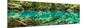 China 10MKm2 Collection - Beautiful Lake in the Jiuzhaigou National Park-Philippe Hugonnard-Mounted Photographic Print