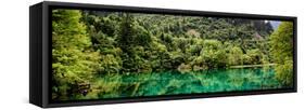 China 10MKm2 Collection - Beautiful Lake in the Jiuzhaigou National Park-Philippe Hugonnard-Framed Stretched Canvas