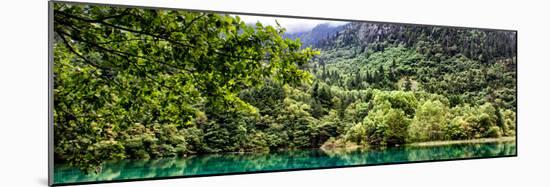 China 10MKm2 Collection - Beautiful Lake in the Jiuzhaigou National Park-Philippe Hugonnard-Mounted Photographic Print