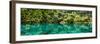 China 10MKm2 Collection - Beautiful Lake in the Jiuzhaigou National Park-Philippe Hugonnard-Framed Photographic Print