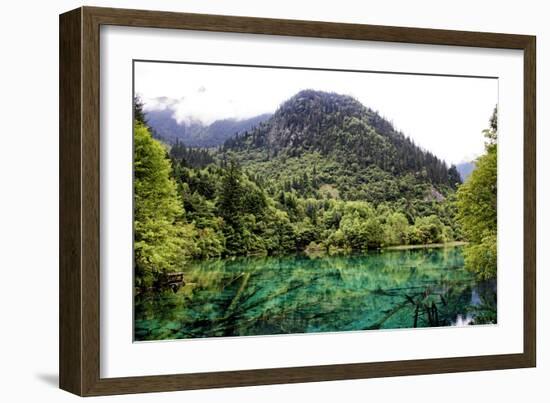 China 10MKm2 Collection - Beautiful Lake in the Jiuzhaigou National Park-Philippe Hugonnard-Framed Photographic Print