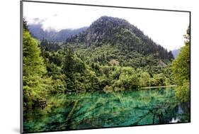 China 10MKm2 Collection - Beautiful Lake in the Jiuzhaigou National Park-Philippe Hugonnard-Mounted Photographic Print