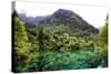 China 10MKm2 Collection - Beautiful Lake in the Jiuzhaigou National Park-Philippe Hugonnard-Stretched Canvas