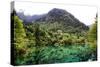 China 10MKm2 Collection - Beautiful Lake in the Jiuzhaigou National Park-Philippe Hugonnard-Stretched Canvas