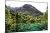 China 10MKm2 Collection - Beautiful Lake in the Jiuzhaigou National Park-Philippe Hugonnard-Mounted Photographic Print