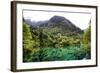 China 10MKm2 Collection - Beautiful Lake in the Jiuzhaigou National Park-Philippe Hugonnard-Framed Photographic Print