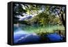 China 10MKm2 Collection - Beautiful Lake in the Jiuzhaigou National Park-Philippe Hugonnard-Framed Stretched Canvas