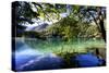 China 10MKm2 Collection - Beautiful Lake in the Jiuzhaigou National Park-Philippe Hugonnard-Stretched Canvas