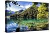 China 10MKm2 Collection - Beautiful Lake in the Jiuzhaigou National Park-Philippe Hugonnard-Stretched Canvas