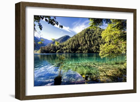 China 10MKm2 Collection - Beautiful Lake in the Jiuzhaigou National Park-Philippe Hugonnard-Framed Photographic Print