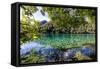 China 10MKm2 Collection - Beautiful Lake in the Jiuzhaigou National Park-Philippe Hugonnard-Framed Stretched Canvas