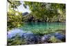 China 10MKm2 Collection - Beautiful Lake in the Jiuzhaigou National Park-Philippe Hugonnard-Mounted Photographic Print