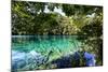 China 10MKm2 Collection - Beautiful Lake in the Jiuzhaigou National Park-Philippe Hugonnard-Mounted Photographic Print