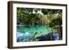 China 10MKm2 Collection - Beautiful Lake in the Jiuzhaigou National Park-Philippe Hugonnard-Framed Photographic Print