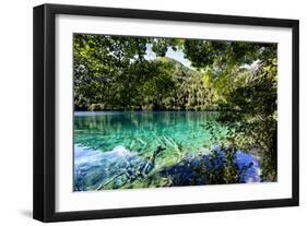 China 10MKm2 Collection - Beautiful Lake in the Jiuzhaigou National Park-Philippe Hugonnard-Framed Photographic Print