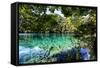 China 10MKm2 Collection - Beautiful Lake in the Jiuzhaigou National Park-Philippe Hugonnard-Framed Stretched Canvas