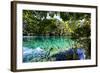 China 10MKm2 Collection - Beautiful Lake in the Jiuzhaigou National Park-Philippe Hugonnard-Framed Photographic Print