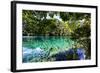 China 10MKm2 Collection - Beautiful Lake in the Jiuzhaigou National Park-Philippe Hugonnard-Framed Photographic Print