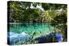 China 10MKm2 Collection - Beautiful Lake in the Jiuzhaigou National Park-Philippe Hugonnard-Stretched Canvas