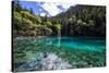 China 10MKm2 Collection - Beautiful Lake in the Jiuzhaigou National Park-Philippe Hugonnard-Stretched Canvas