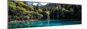 China 10MKm2 Collection - Beautiful Lake in the Jiuzhaigou National Park-Philippe Hugonnard-Mounted Photographic Print