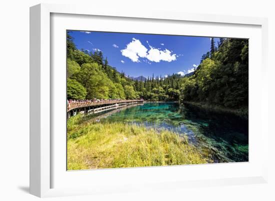 China 10MKm2 Collection - Beautiful Lake in the Jiuzhaigou National Park-Philippe Hugonnard-Framed Photographic Print