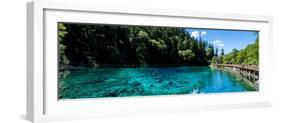 China 10MKm2 Collection - Beautiful Lake in the Jiuzhaigou National Park-Philippe Hugonnard-Framed Photographic Print