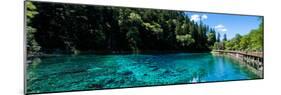 China 10MKm2 Collection - Beautiful Lake in the Jiuzhaigou National Park-Philippe Hugonnard-Mounted Photographic Print