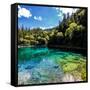 China 10MKm2 Collection - Beautiful Lake in the Jiuzhaigou National Park-Philippe Hugonnard-Framed Stretched Canvas