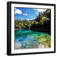 China 10MKm2 Collection - Beautiful Lake in the Jiuzhaigou National Park-Philippe Hugonnard-Framed Photographic Print