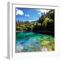 China 10MKm2 Collection - Beautiful Lake in the Jiuzhaigou National Park-Philippe Hugonnard-Framed Photographic Print