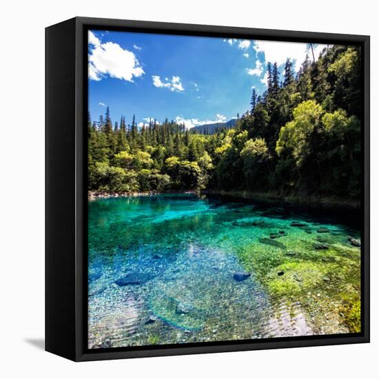 China 10MKm2 Collection - Beautiful Lake in the Jiuzhaigou National Park-Philippe Hugonnard-Framed Stretched Canvas